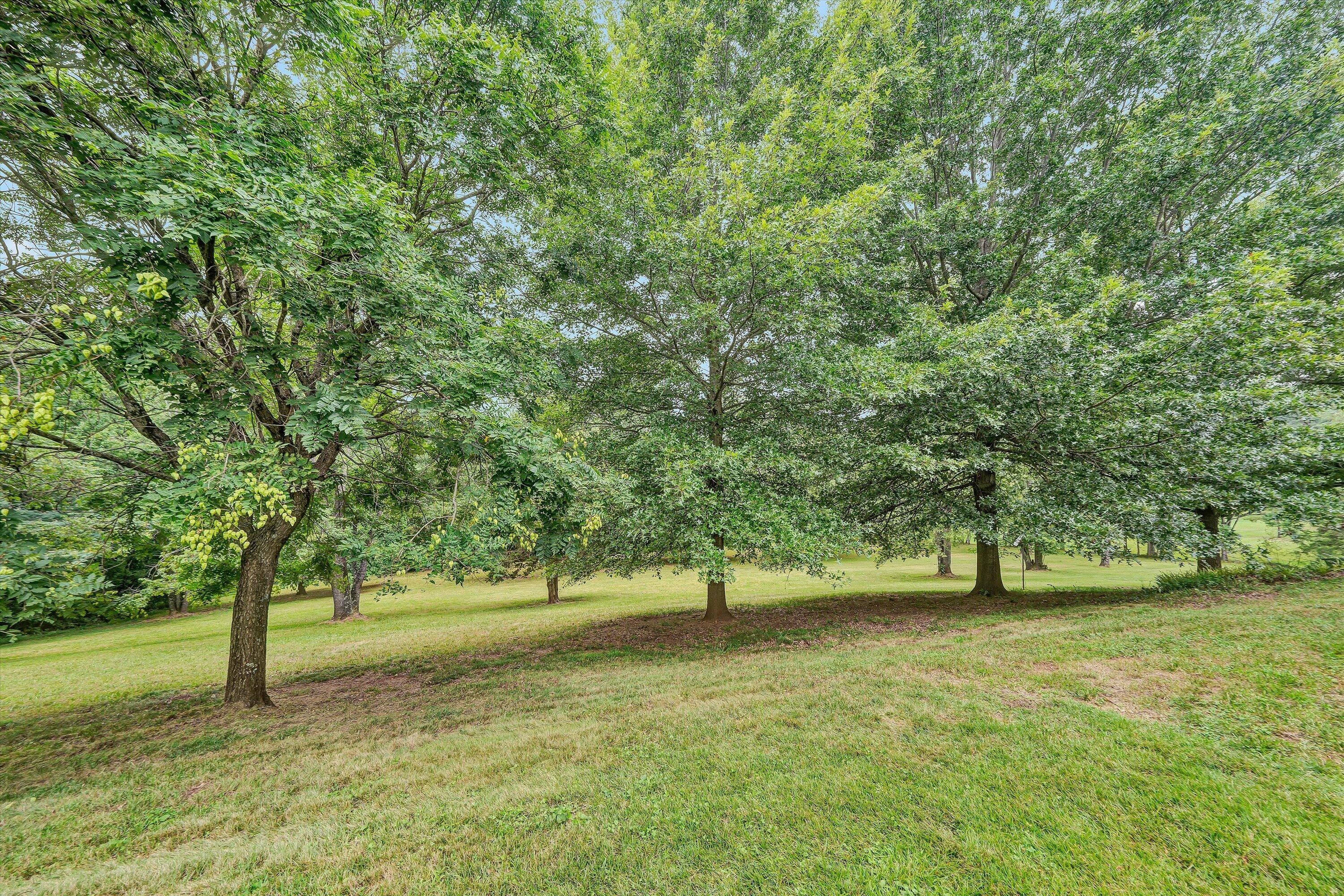 2248 Green Level Road Boones Mill, VA 24065 - Photo 45 of 59 45-DSC00136
