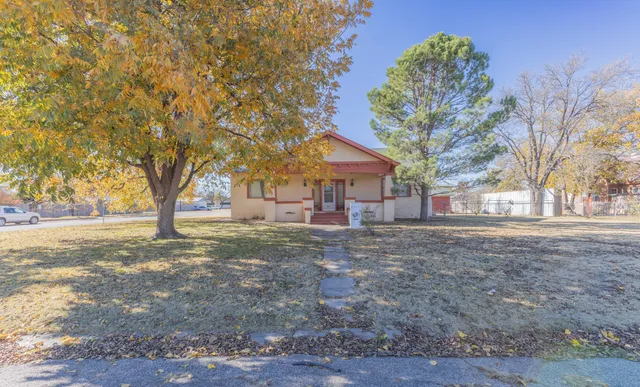 a view of a yard with plants and trees