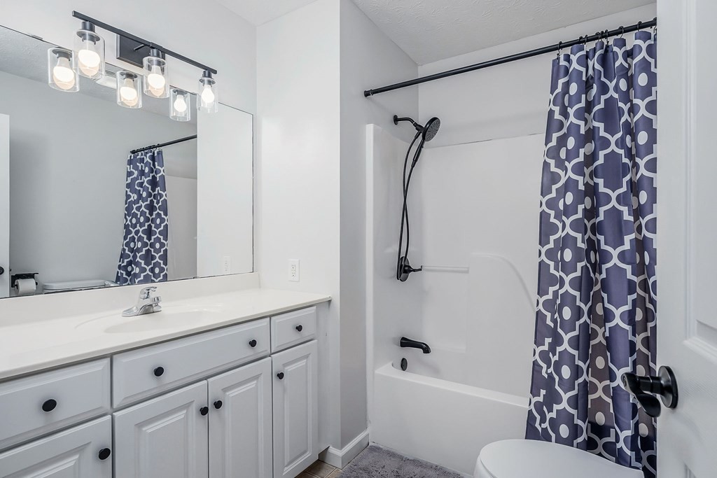 1945 Golden Mountain Road Sparta, TN 38583 - Photo 20 of 47 a bathroom with a bathtub shower sink vanity and a toilet