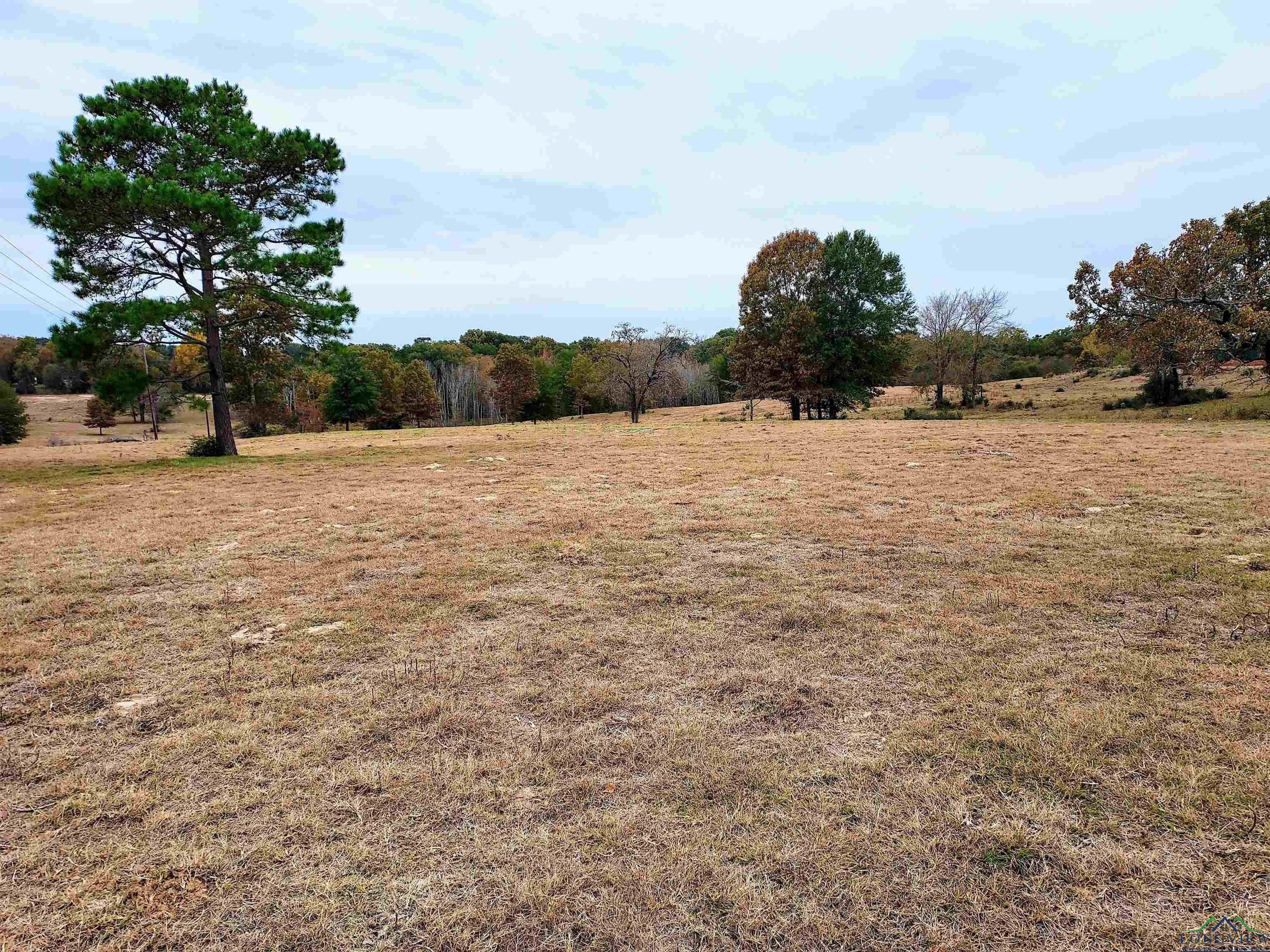 Tbd Almond Road Big Sandy, TX 75755 - Photo 13 of 36 Gallery Image 13