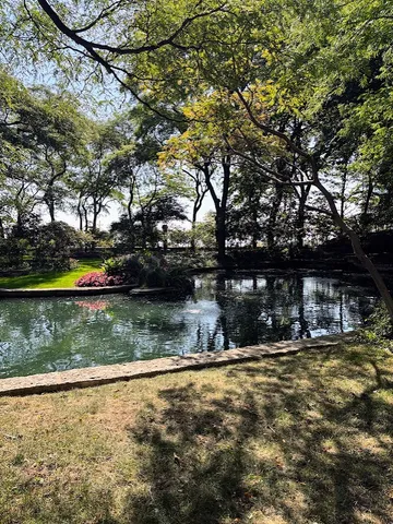 a view of a yard with wooden fence