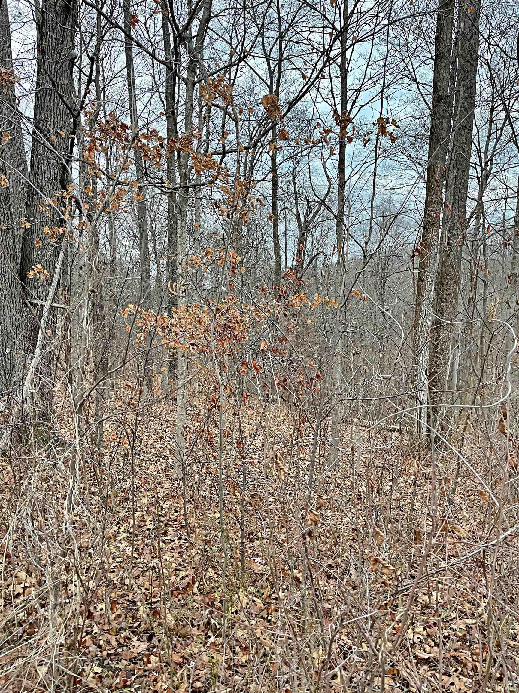 East Robinson Road Bloomington, IN 47408 - Photo 2 of 4 Gallery Image 2
