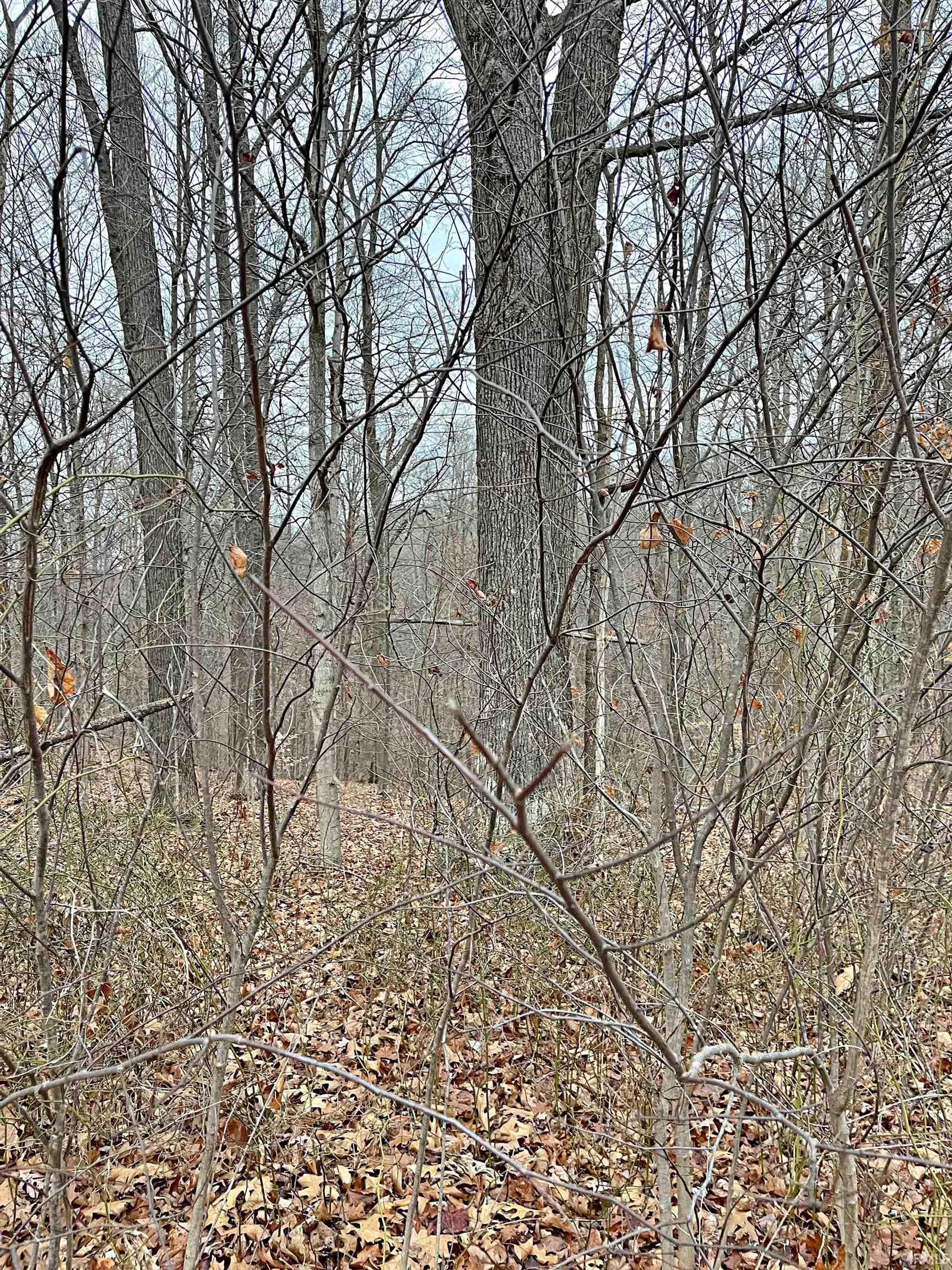East Robinson Road Bloomington, IN 47408 - Photo 3 of 4 Gallery Image 3