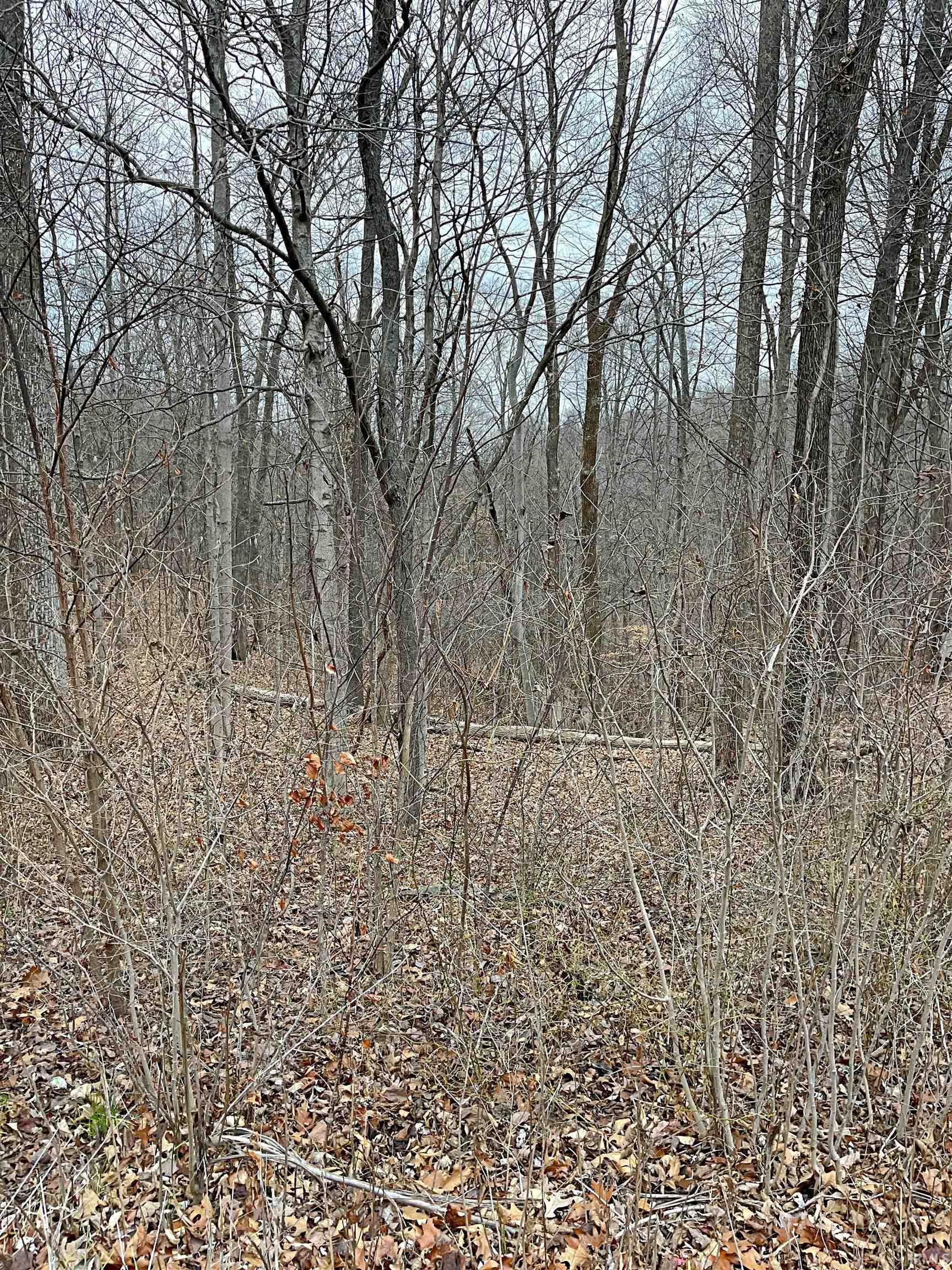 East Robinson Road Bloomington, IN 47408 - Photo 4 of 4 Gallery Image 4