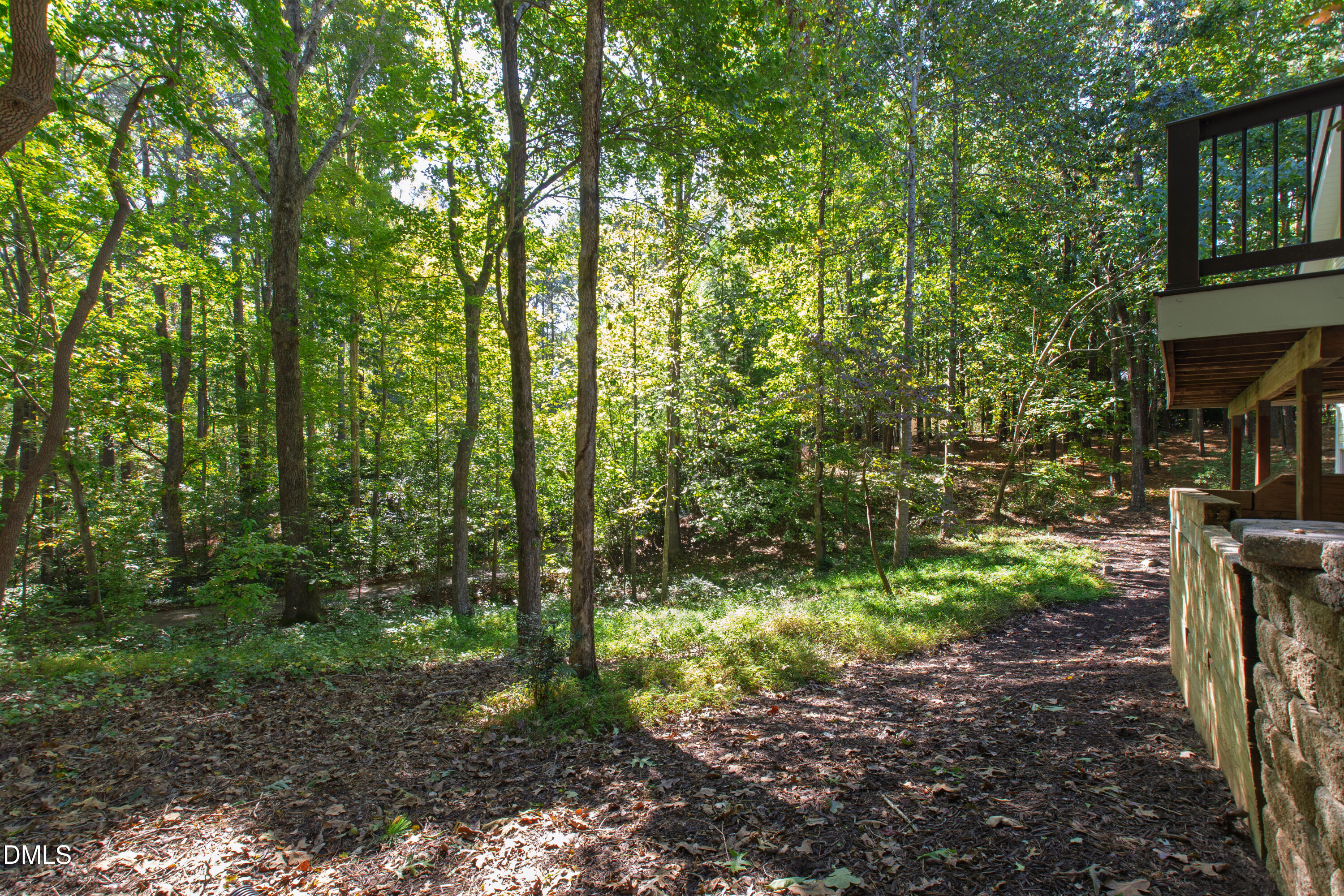 5300 Deep Valley Raleigh, NC 27606 - Photo 69 of 74 Deep (75)