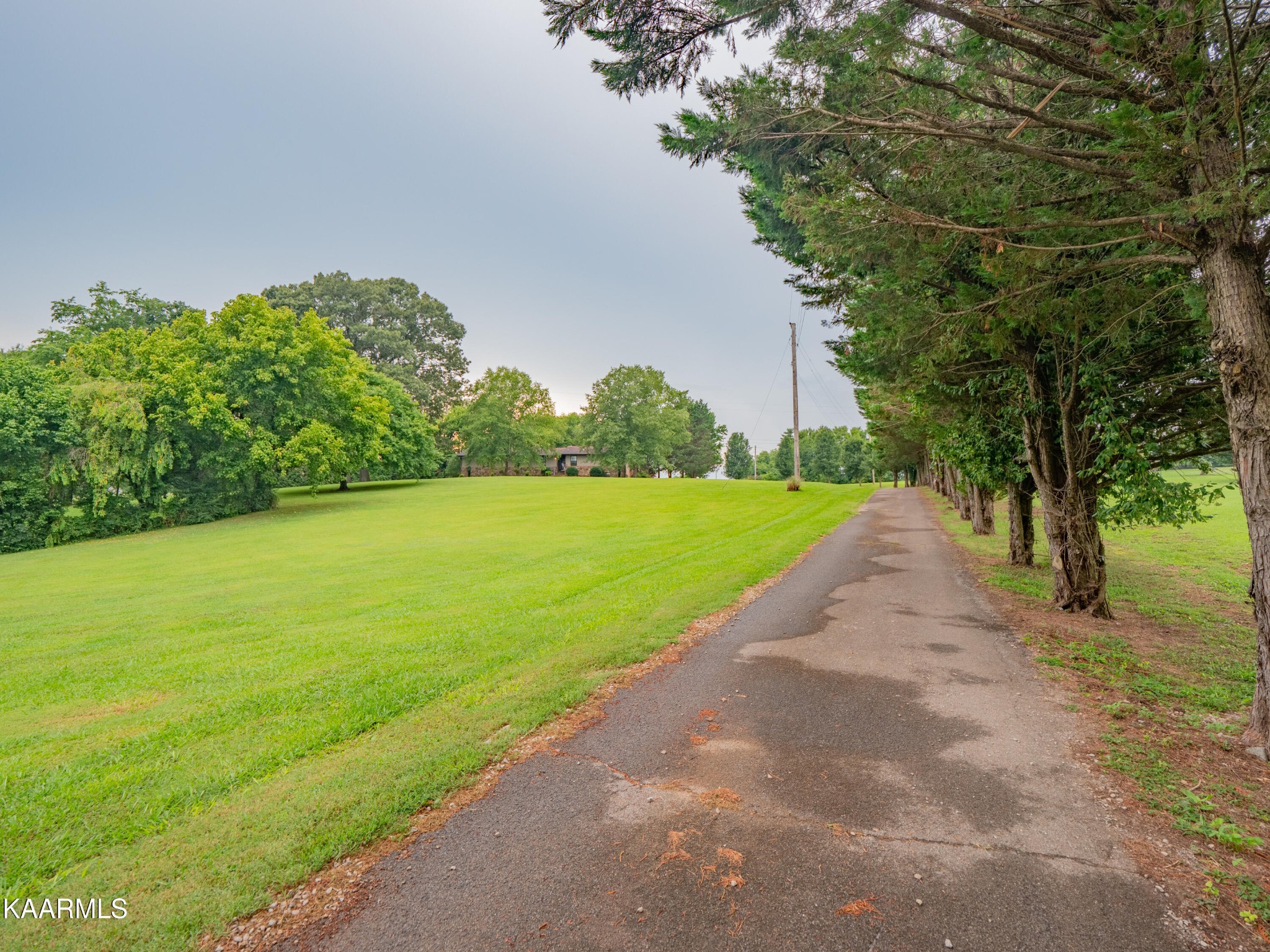 2774 Mentor Road Louisville, TN 37777 - Photo 24 of 46 Gallery Image 24