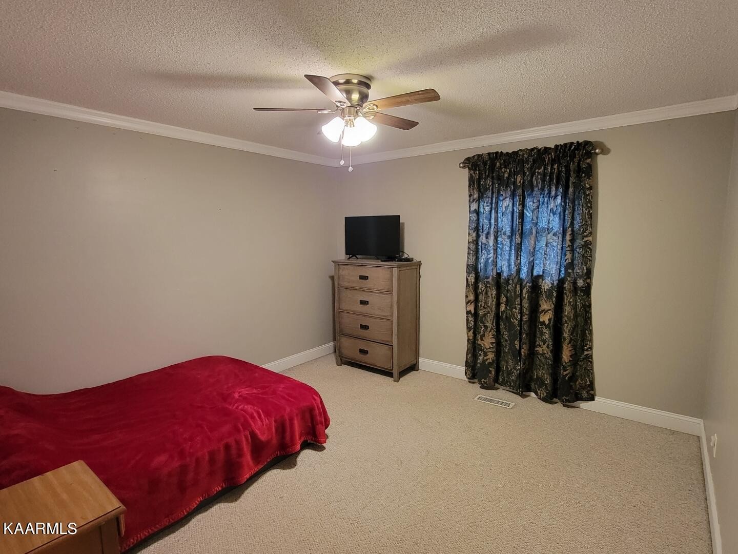 2774 Mentor Road Louisville, TN 37777 - Photo 3 of 46 Gallery Image 3