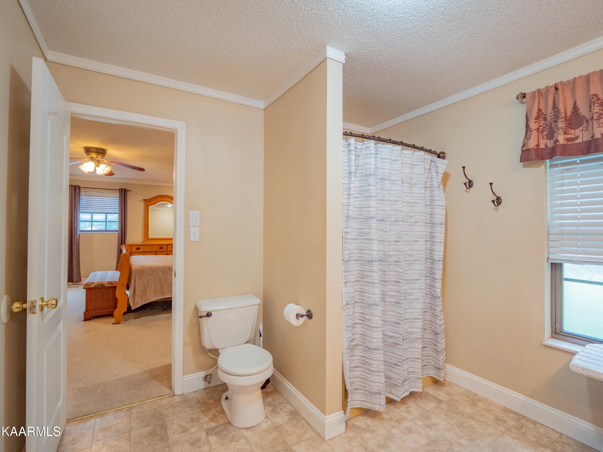 2774 Mentor Road Louisville, TN 37777 - Photo 9 of 46 Gallery Image 9