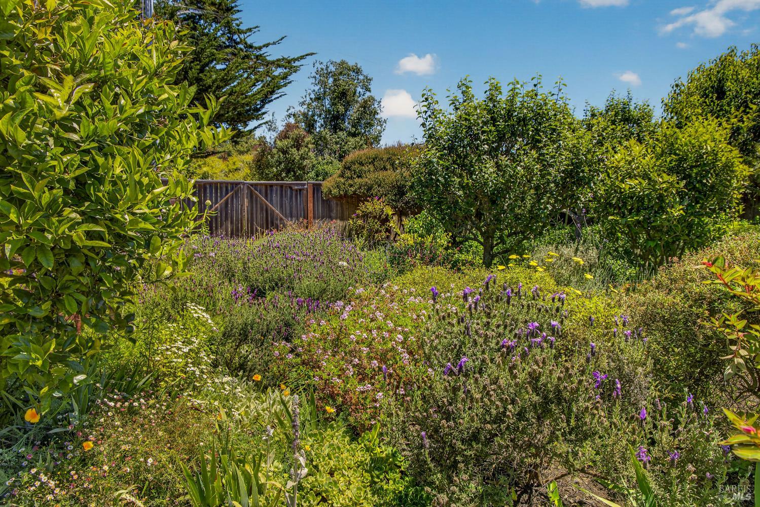385 Cedar Road Bolinas, CA 94924 - Photo 41 of 70
