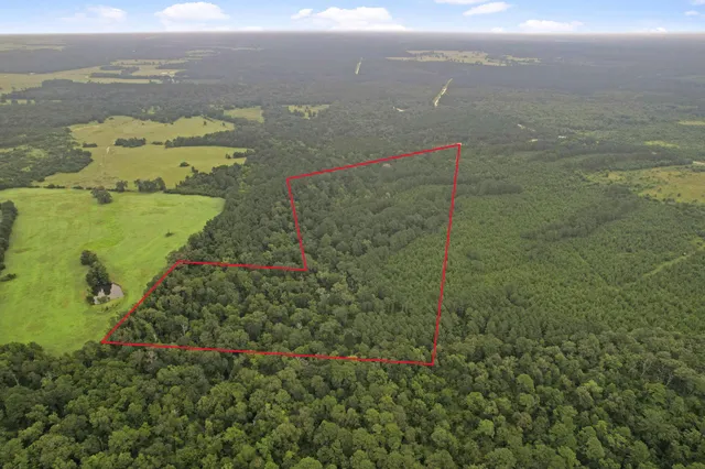 a view of a lake with a mountain