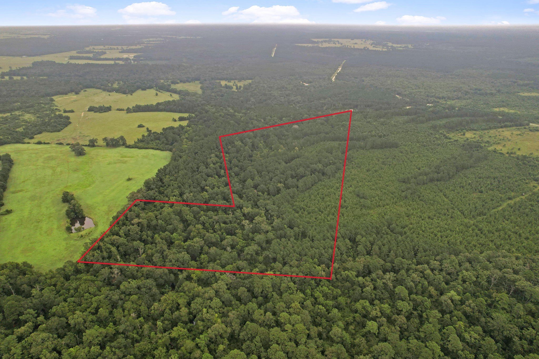 12 Fm 230 Trinity, TX 75862 - Photo 12 of 15