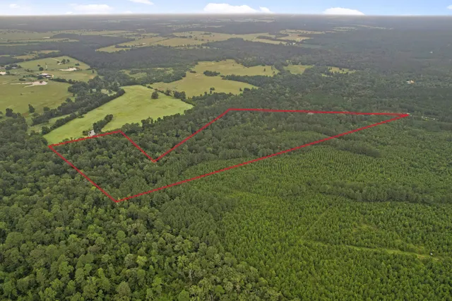 a view of an ocean and a mountain