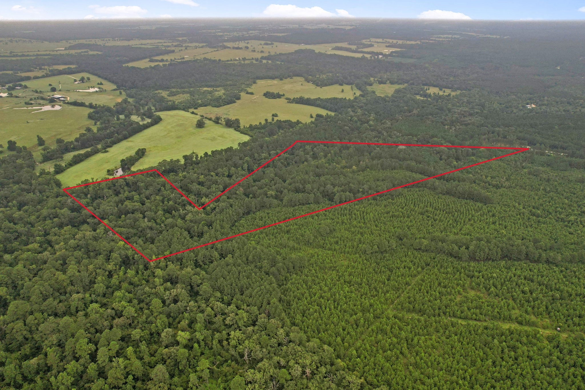 12 Fm 230 Trinity, TX 75862 - Photo 13 of 15 a view of a lake with a mountain