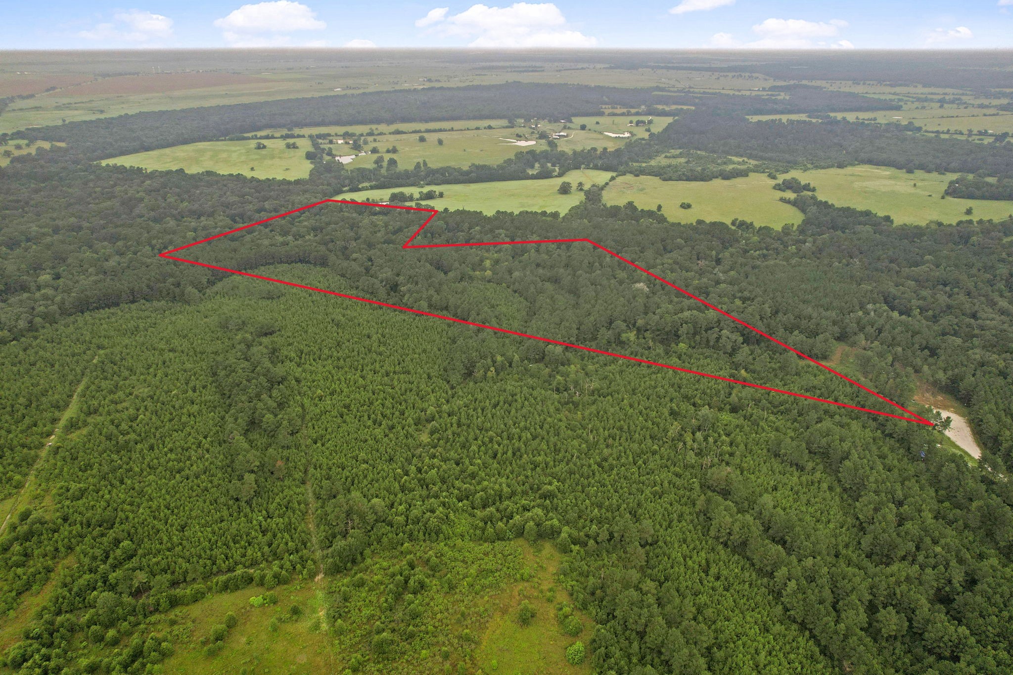 12 Fm 230 Trinity, TX 75862 - Photo 14 of 15 a view of an ocean and a mountain