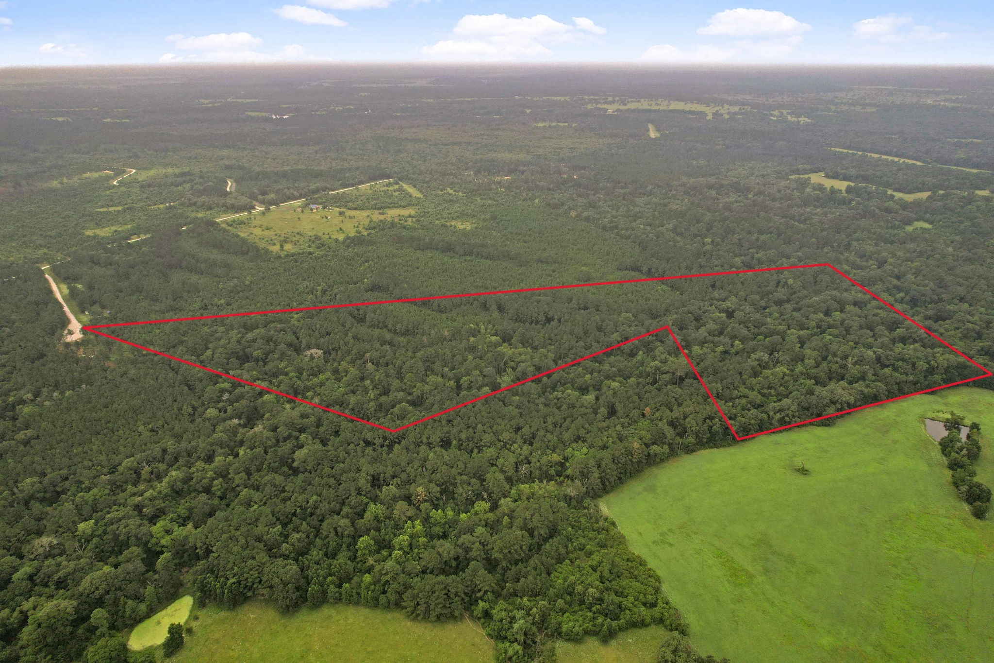 12 Fm 230 Trinity, TX 75862 - Photo 8 of 15 a view of a lake with a city