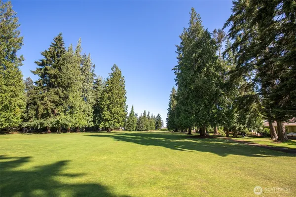 a view of yard with swimming pool and green space