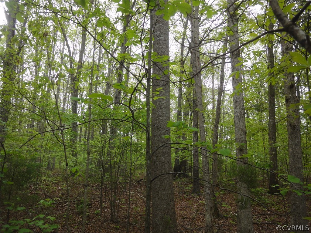0 Palmore Road Powhatan, VA 23139 - Photo 1 of 8 Gallery Image 1