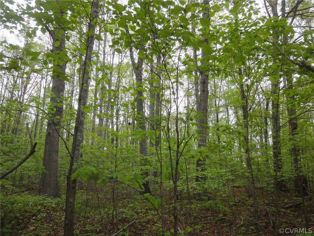 0 Palmore Road Powhatan, VA 23139 - Photo 2 of 8 Gallery Image 2