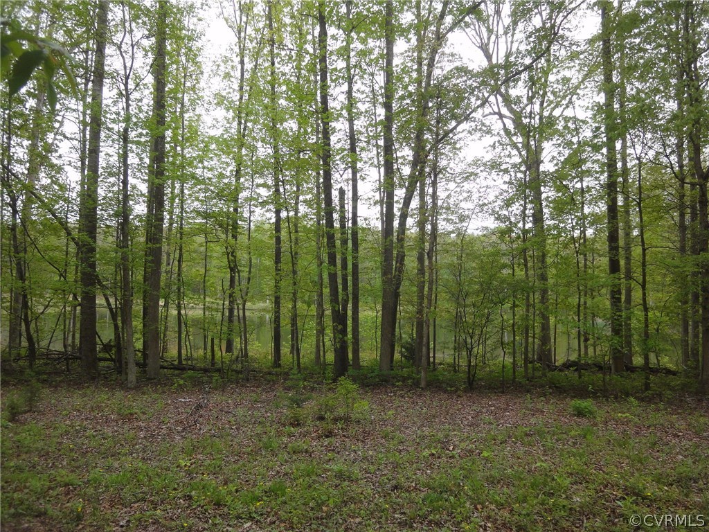0 Palmore Road Powhatan, VA 23139 - Photo 3 of 8 Across the private lane - view of the neighbor's p