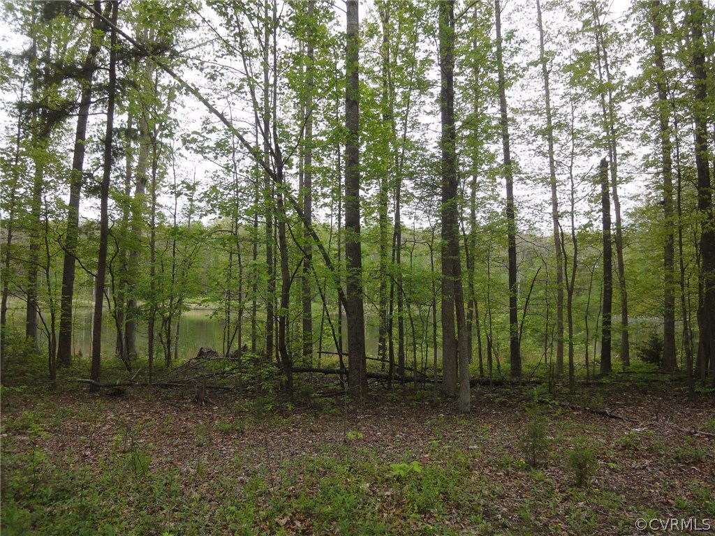 0 Palmore Road Powhatan, VA 23139 - Photo 4 of 8 Across the private lane - view of the neighbor's p