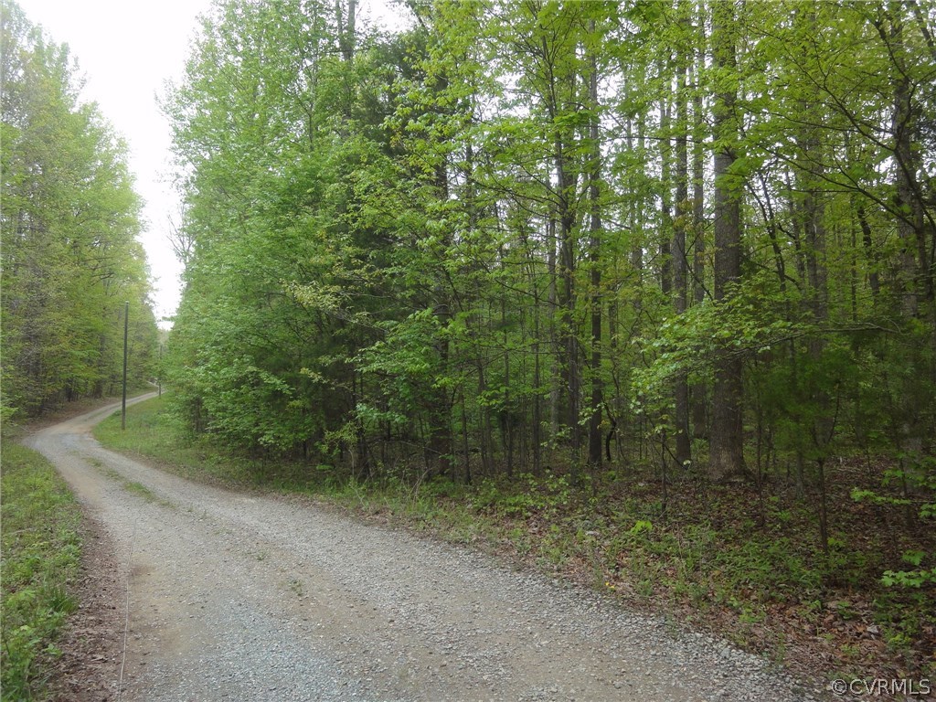 0 Palmore Road Powhatan, VA 23139 - Photo 5 of 8 Private gravel lane leading to the property from P