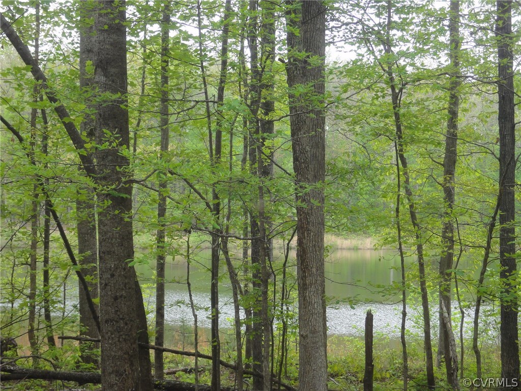 0 Palmore Road Powhatan, VA 23139 - Photo 7 of 8 Across the private lane - view of the neighbor's p
