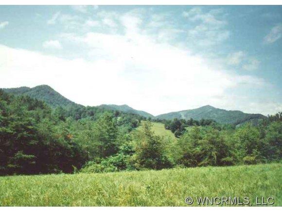 0 Caney Fork Road Marshall, NC 28753 - Photo 1 of 10 a view of a mountain in the distance in a field