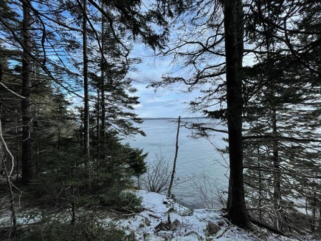 1065 Straight Bay Road Lubec, ME 04652 - Photo 110 of 121 IMG_4475