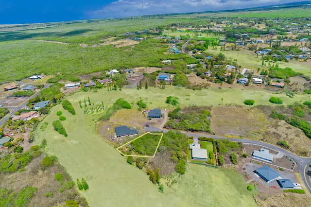 an aerial view of a garden