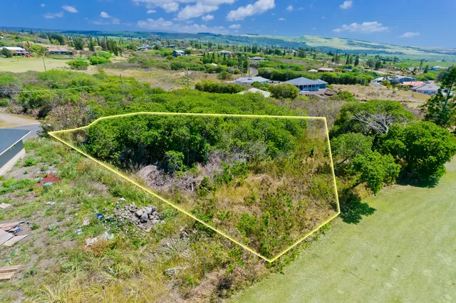 a view of a green field