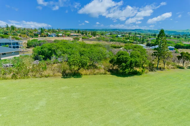 a view of a big yard with swimming pool and green space
