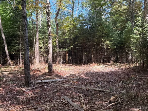 $59,000 | Lot #1 Beaver Trail, Alder Creek, NY 13301