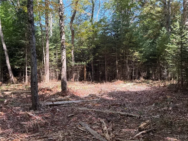 $59,000 | Lot #1 Beaver Trail, Alder Creek, NY 13301