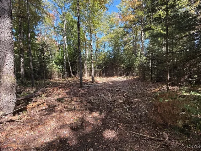 $59,000 | Lot #1 Beaver Trail, Alder Creek, NY 13301