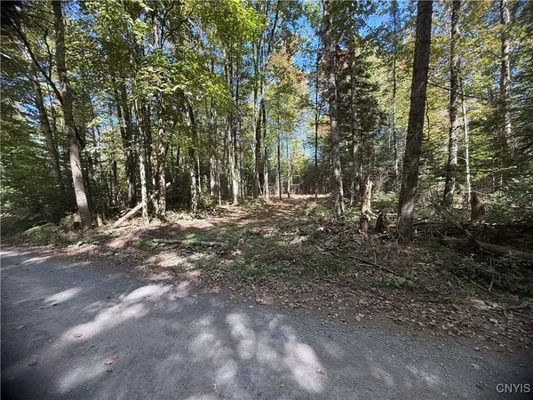 $59,000 | Lot #1 Beaver Trail, Alder Creek, NY 13301
