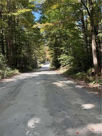 $59,000 | Lot #1 Beaver Trail, Alder Creek, NY 13301