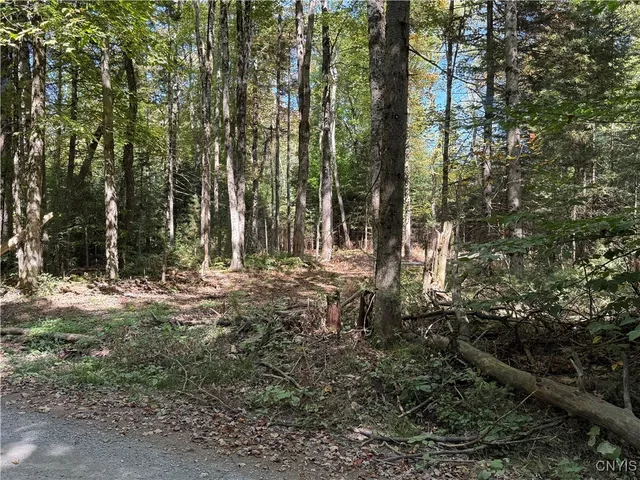 $59,000 | Lot #1 Beaver Trail, Alder Creek, NY 13301