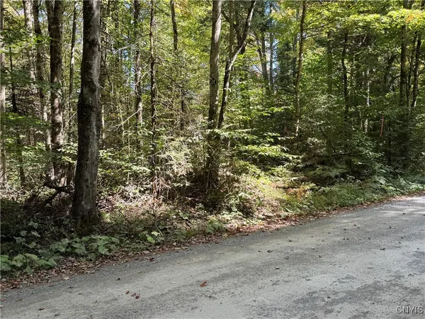 $59,000 | Lot #1 Beaver Trail, Alder Creek, NY 13301