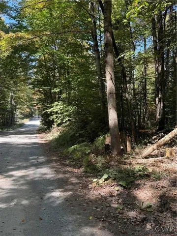 $59,000 | Lot #1 Beaver Trail, Alder Creek, NY 13301