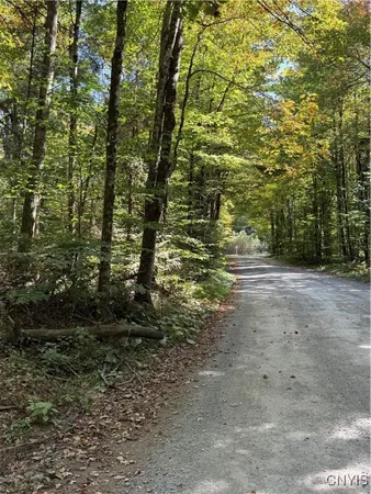 $59,000 | Lot #1 Beaver Trail, Alder Creek, NY 13301