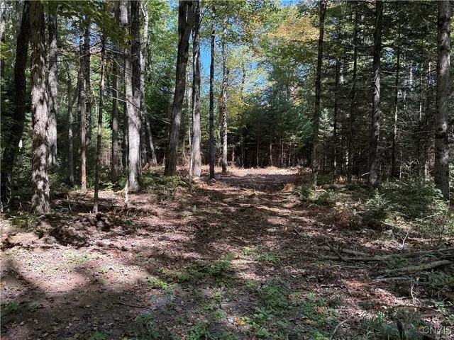 $59,000 | Lot #1 Beaver Trail, Alder Creek, NY 13301