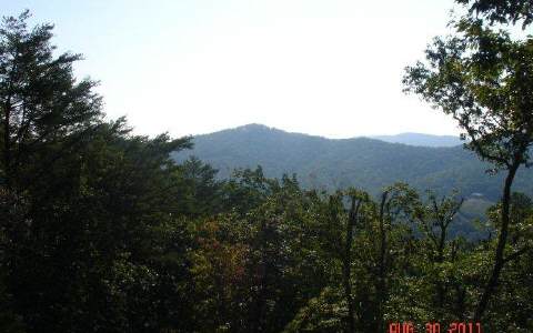 15 Overlook Drive Blue Ridge, GA 30513 - Photo 1 of 1 a view of a mountain in the distance in a forest