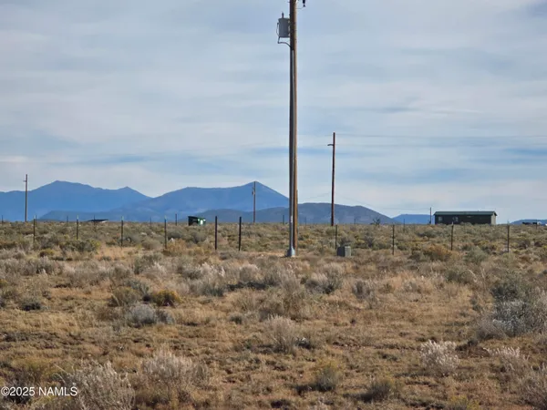 a house with trees in the background
