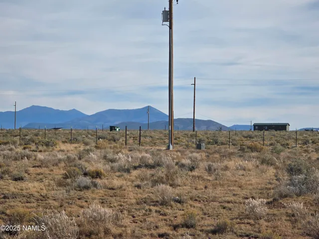 a house with trees in the background