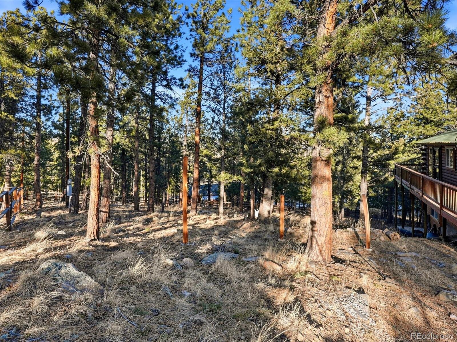 201 Moss Rock Road Bailey, CO 80421 - Photo 35 of 43