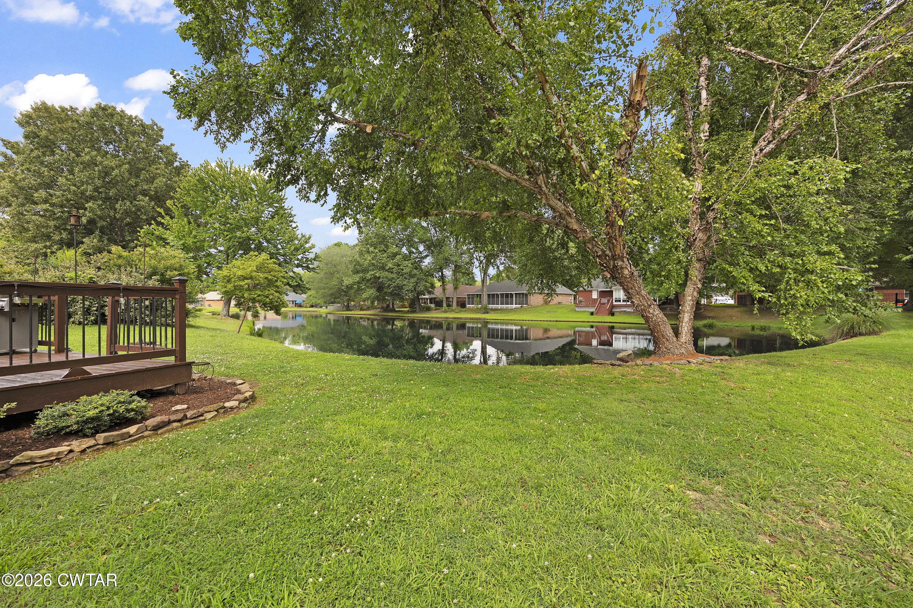 52 Edgewater Cove Jackson, TN 38305 - Photo 6 of 33 Backyard