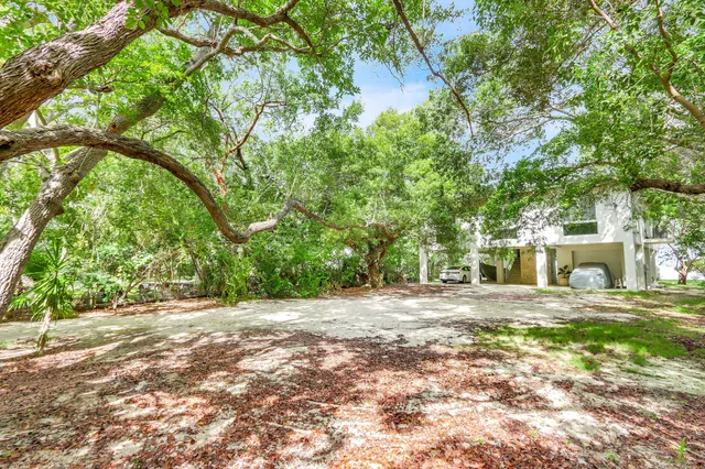 a view of a backyard with large trees