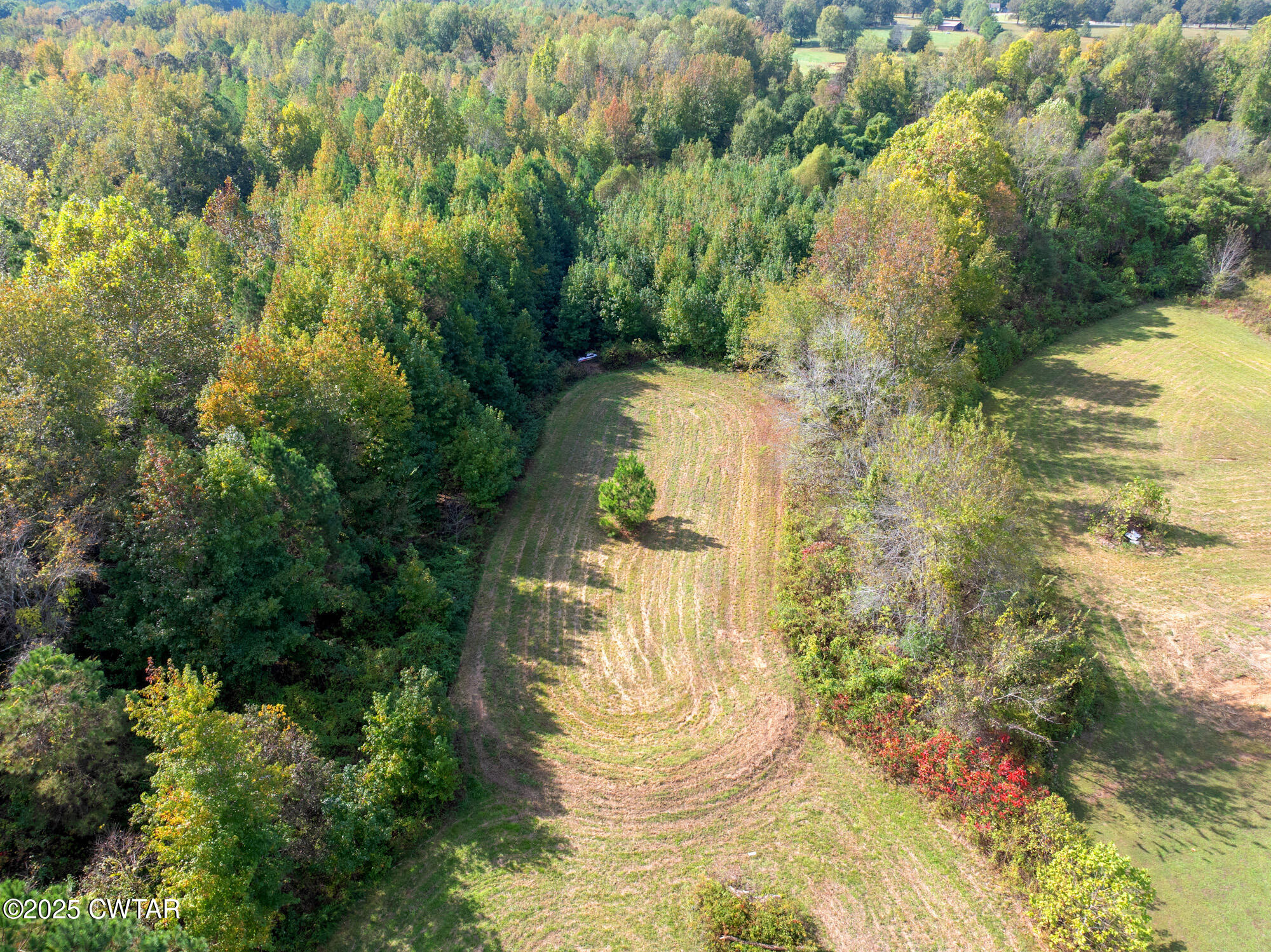 1825 Island Road Beech Bluff, TN 38313 - Photo 28 of 33 DJI_20251017142802_0341_D