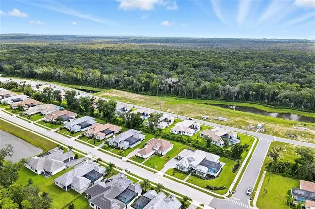 a view of a house with a big yard plants and large trees