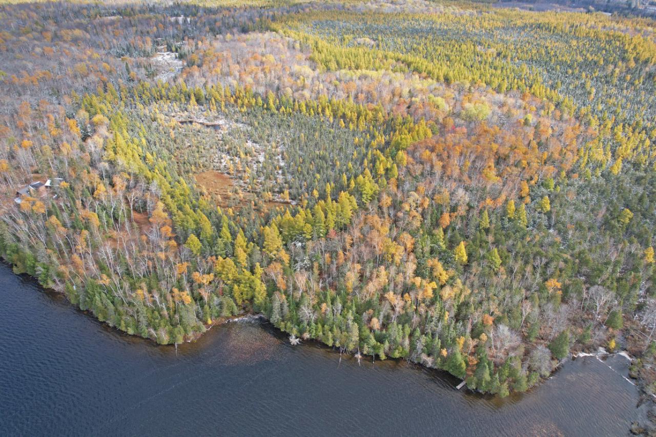 8754 Murphy Lake Road Presque Isle, WI 54557 - Photo 16 of 26 Gallery Image 16